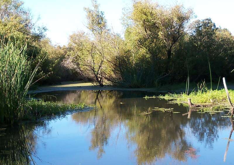 Watsonville Slough.
