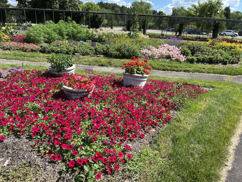 Whitnall Park John and Hildegarde Voigt Trail Garden flowers 1