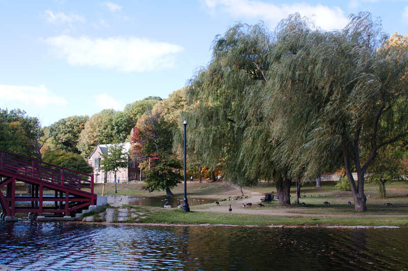 A view looking SSW over the pond Worcester, Massachusetts' Elm Park. Visible are footpaths, a footbridge over the pond and a disused fire station on Park Avenue.