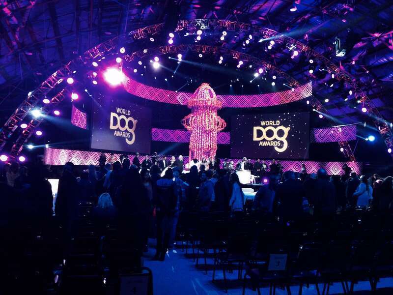 Don't forget to watch The ‪#‎WorldDogAwards‬ TONIGHT Thursday Jan 15th at 8pm/7c on The @CW_network
Whether you love dogs or have your own pack for four legged cuddlers it's a fun show to watch and George Lopez is mucho funny.

Stars, Dogs and