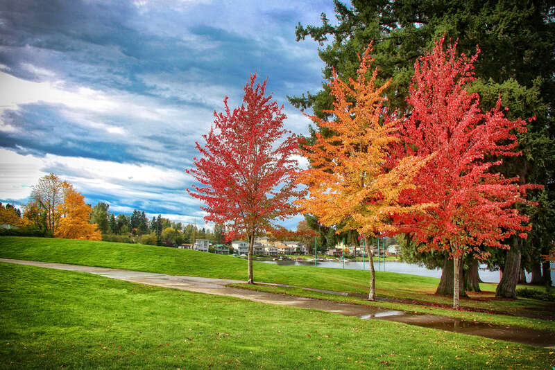 Again Gorgeous Fall - Lake Meridian Kent WA