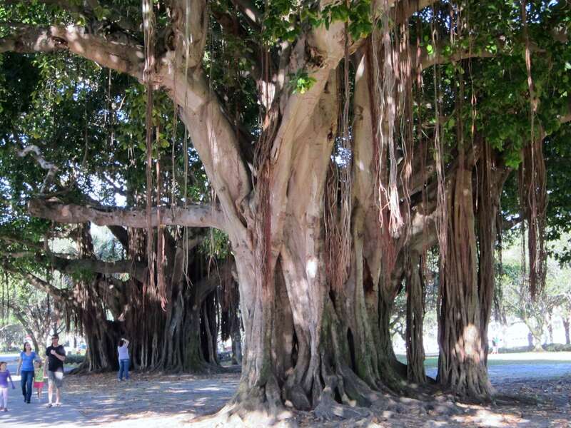 St.Petersburg,Florida,USA.