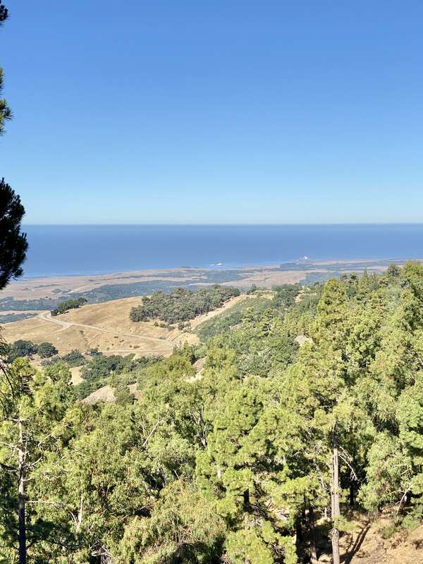 Built in 1919–1947, this large Spanish Colonial Revival and Mediterranean Revival-style mansion, known as Hearst Castle, or La Cuesta Encantada, was designed by Julia Morgan for William Randolph Hearst, a significant publisher.  The mansion and its