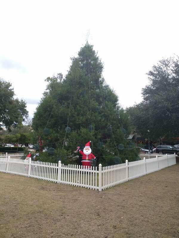 Winter Park Christmas Tree Number 1