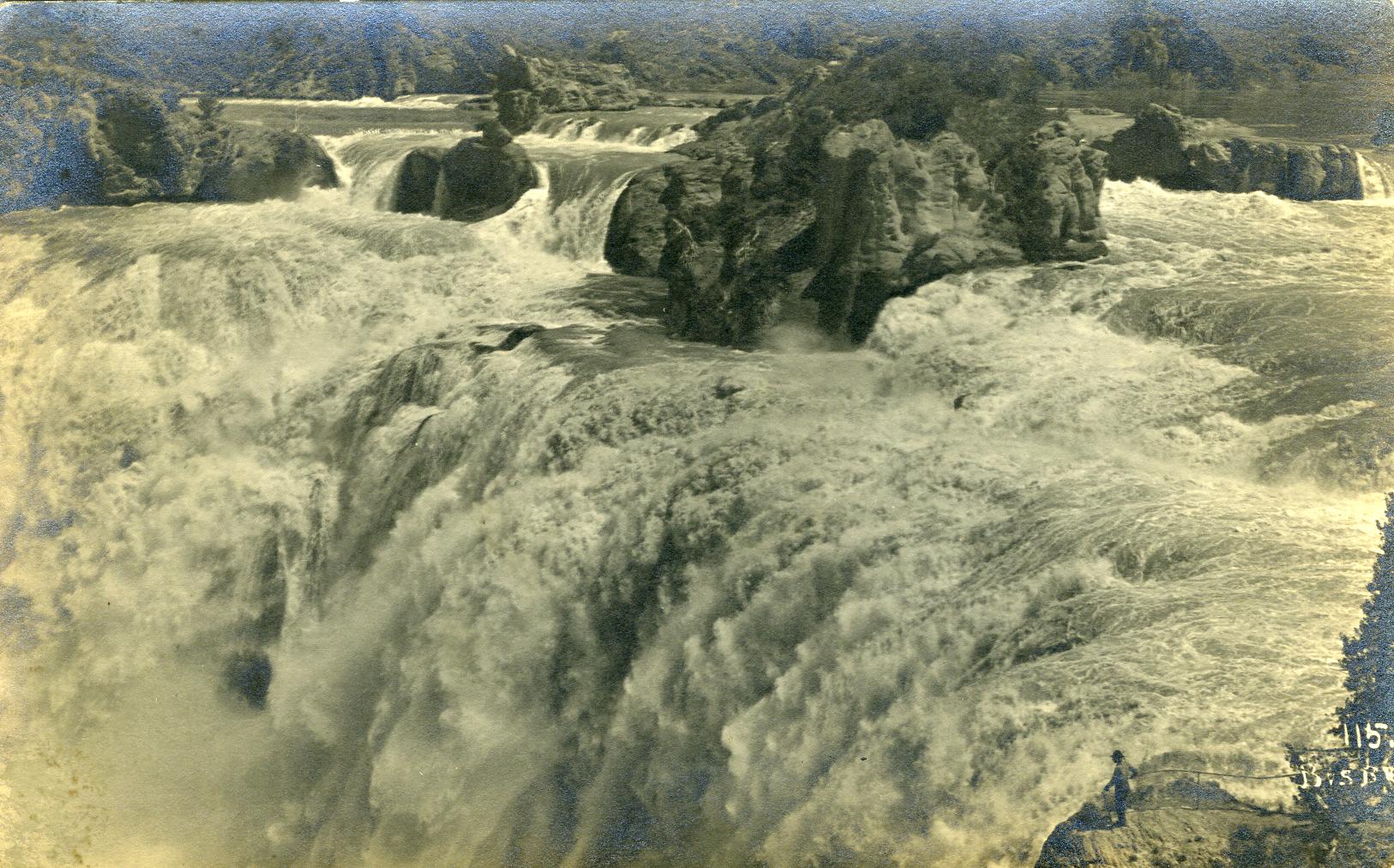 Image Title: Snake River - Shoshone Falls
Date: c.1910
Place: Shoshone Falls, Snake River, Twin Falls, Idaho
Description/Caption: 115.
Medium: Real Photo Postcard (RPPC)
Photographer/Maker: Photo by (Clarence E.) Bisbee, Twin Falls, Idaho.
Cite as: