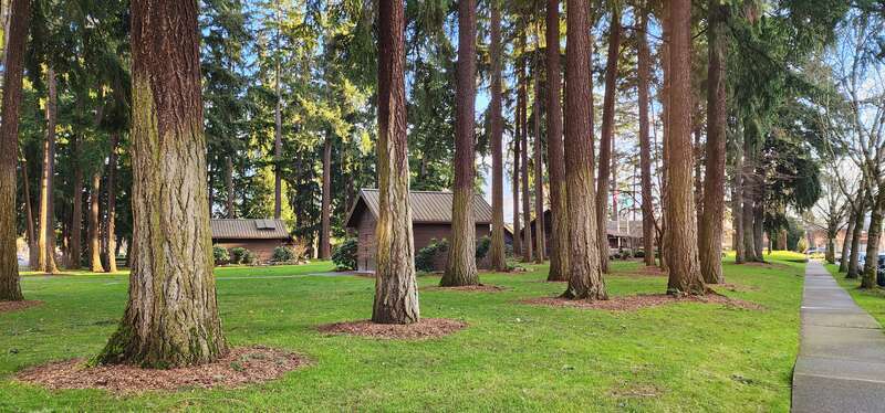 Anderson Park in Redmond,WA