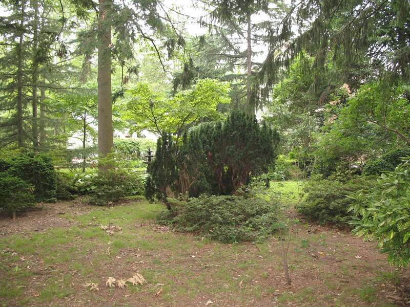 Bradford-Loockerman House, 419 S. State St. Dover.  Garden