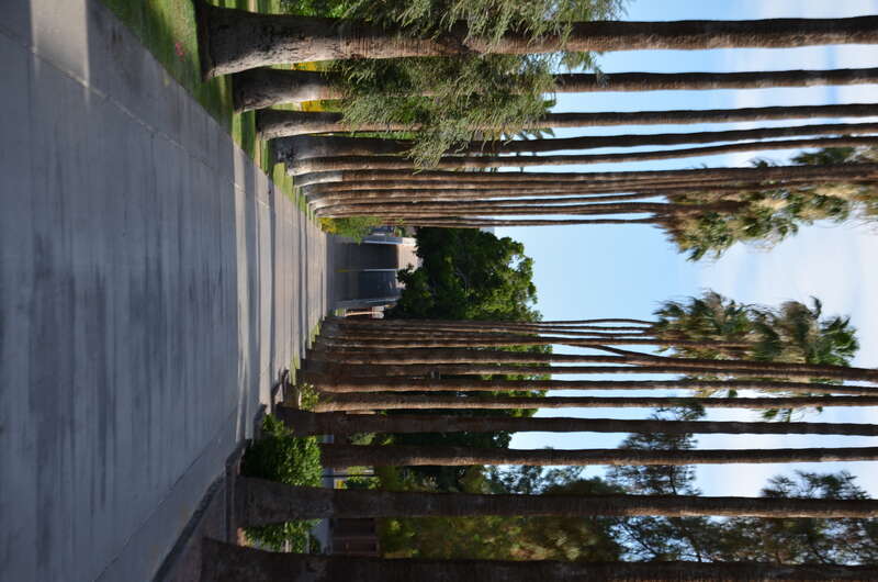 Arizona State University, Tempe Main Campus, Tempe, AZ