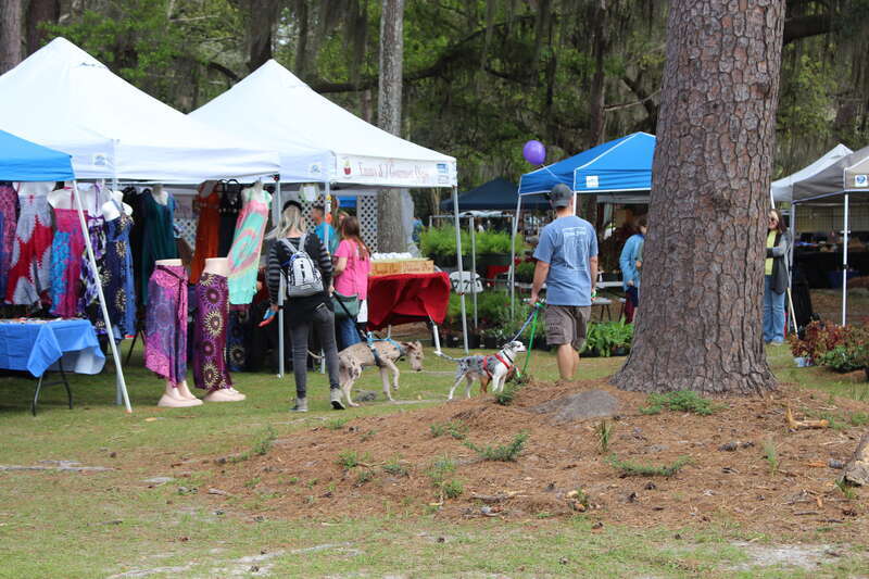 Azalea Festival 2019, Drexel Park, Valdosta, Lowndes County, Georgia