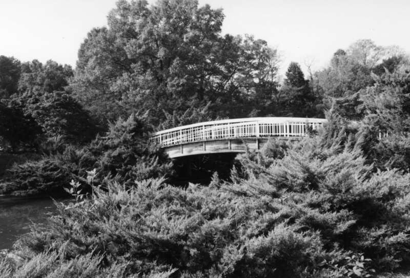 Black and white bridge