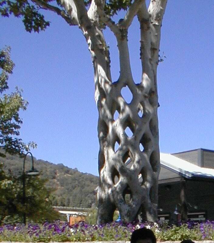 Bonfante Gardens, Gilroy ,CA