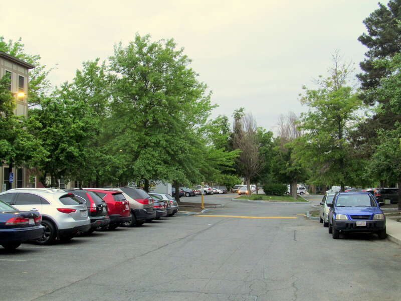 Camella Teoli Way in Lawrence, Massachusetts in May 2017. The street was named after Camella Teoli, a mill worker whose testimony before Congress at age 14 led to sympathy for striking workers during the Great Lawrence Textile Strike and the eventual