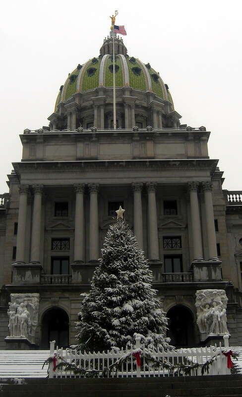 Pennsylvania State Capitol Complex This photo shows the Pennsylvania State Capitol in winter.