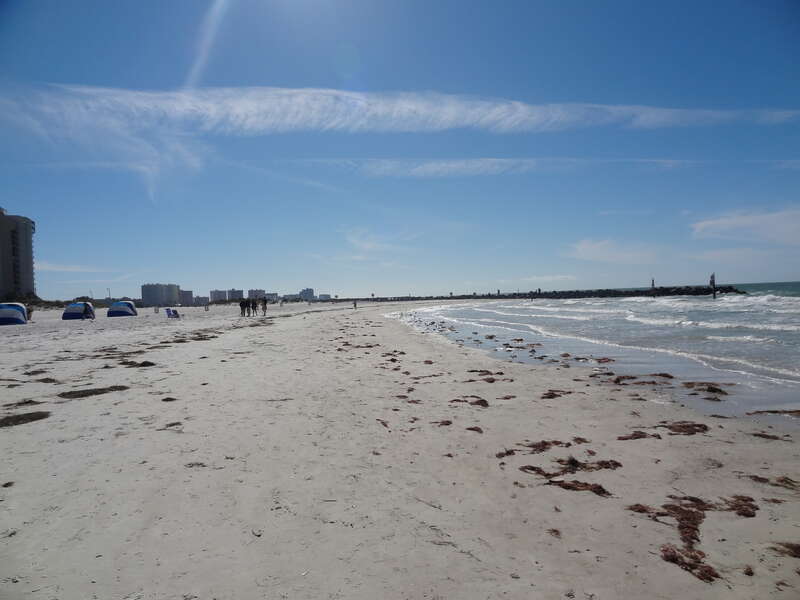 This work is Conecza.com's contribution to Wikimedia. You may use the picture for any purpose.