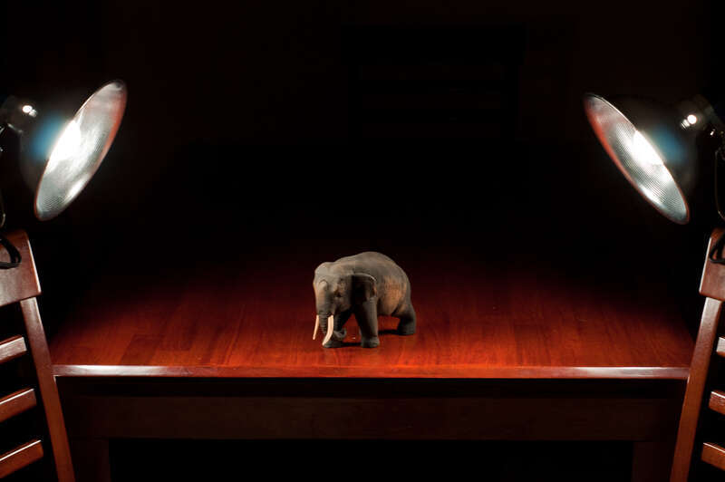 Day 24:  After struggling to find suitable lighting in my house during the past several evening shoots, I went out today and purchased a couple of those &quot;el cheapo&quot; type lights from Home Depot to solve the problem.  A tip of the cap goes out to