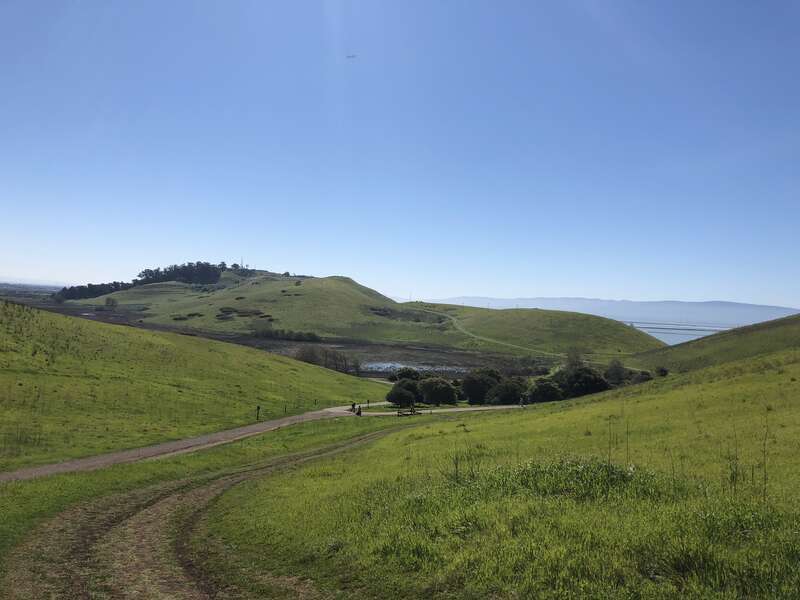 Coyote hills regional park fremont