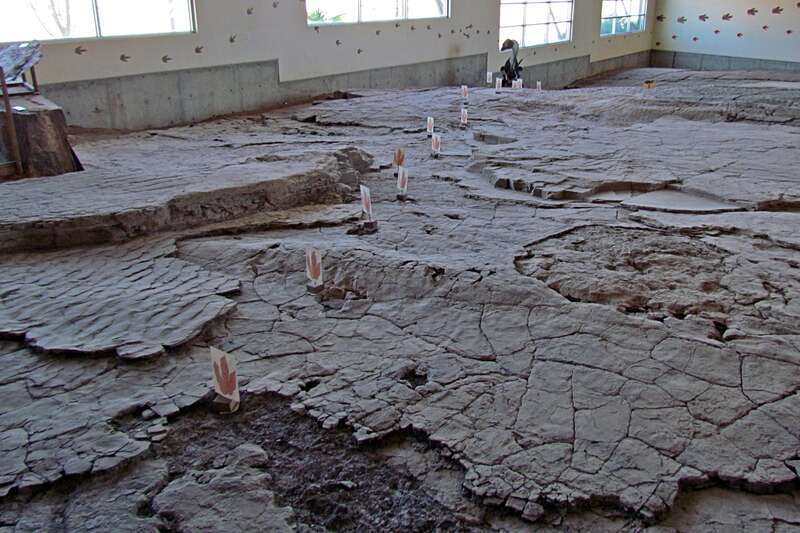The St. George Dinosaur Discovery Site at Johnson Farm (St. George, Utah) is home to exceptionally well-preserved dinosaur tracks, some displaying skin impressions. These tracks, along with hundreds of fossil fish, plants, rare dinosaur remains,