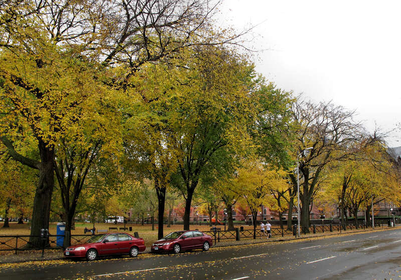 Elm Street New Haven