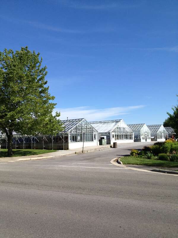 Greenhouses at Virginia Tech