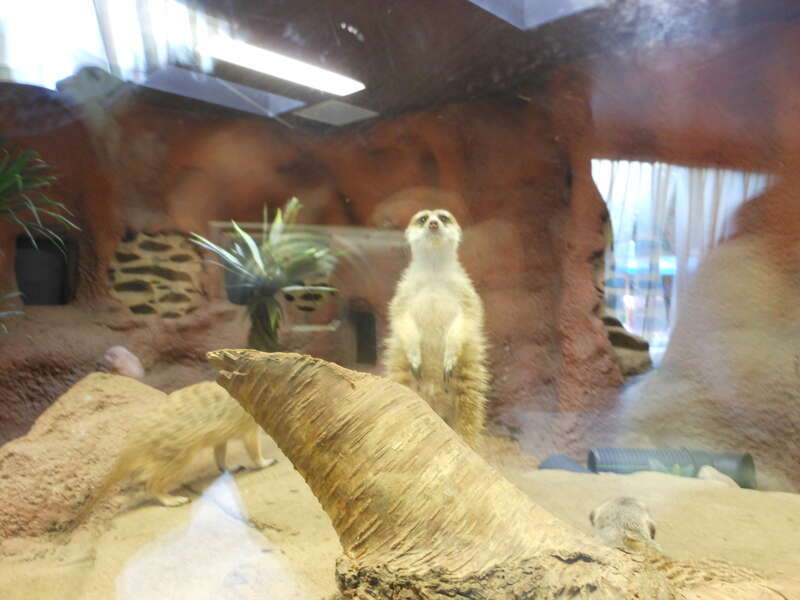 I never seen you here before!