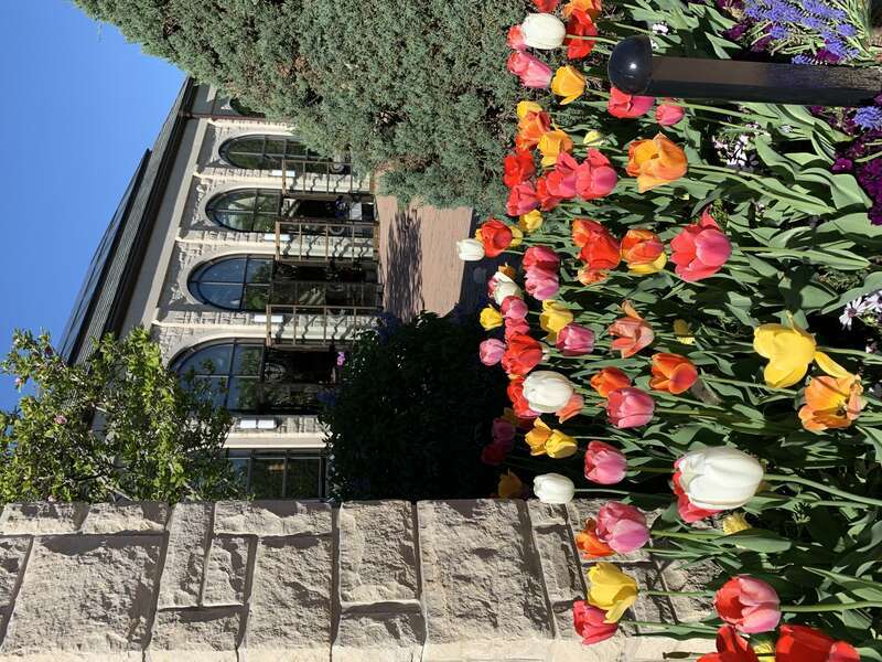 Ewing and Muriel Kauffman Memorial Garden