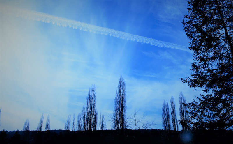 500px provided description: Clicked on Fe 12th at Lake Sammamish state park. [#nature ,#parks]