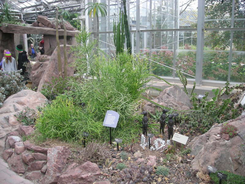 The interior of the Earl and Donnalee Holton Arid Garden at the Frederik Meijer Gardens &amp;amp; Sculpture Park in Grand Rapids Township, Michigan (United States).