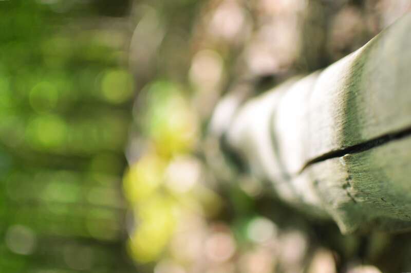 Mentor Marsh Nature Preserve