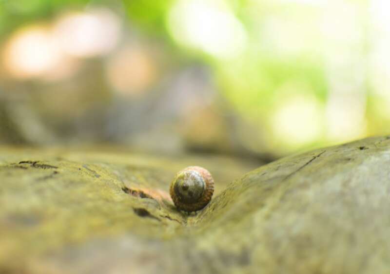 Mentor Marsh Nature Preserve