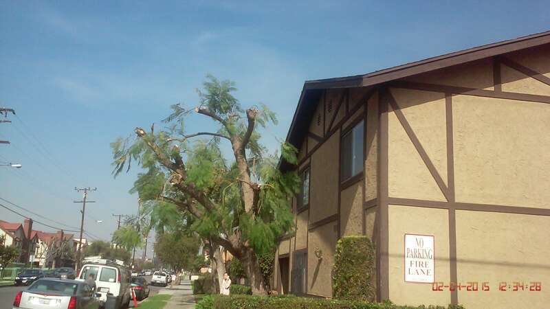 Monterey Park, CA, USA