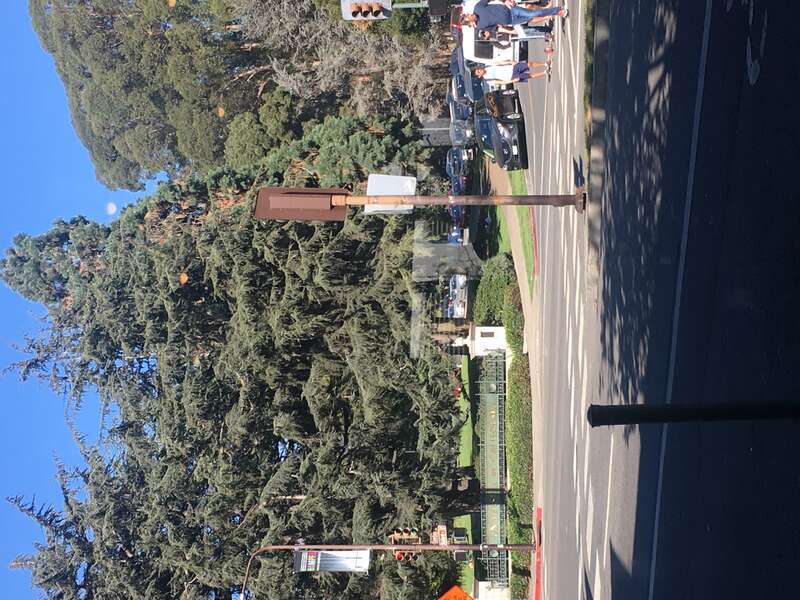 Oxford Street view - north campus (UC Berkeley)