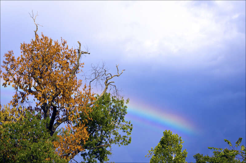 A partial rainbow courtesy of scattered storms in the area.