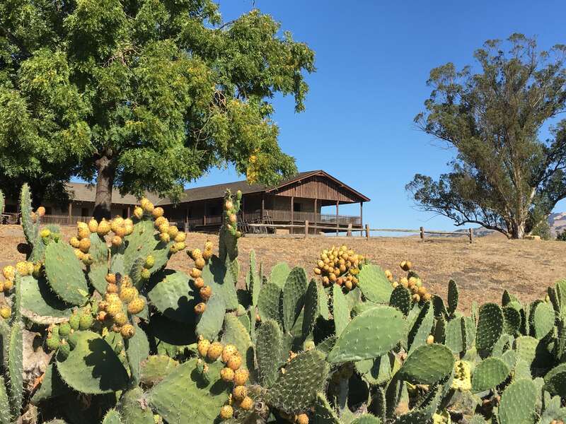 Petaluma Adobe from 1830s