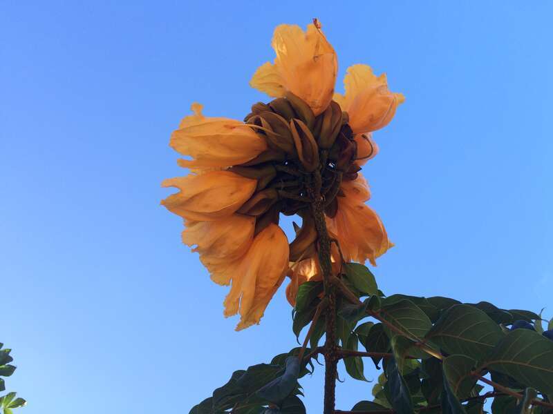 California, USA - September 2016

San Diego in September 2016