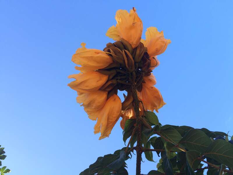 California, USA - September 2016

San Diego in September 2016