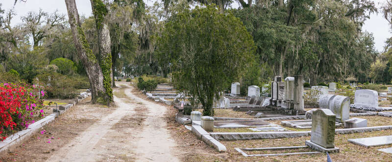 A panorama of Bonaventure Cemetery near Savannah, Georgia. A sandy road winds towards the ocean and is flanked by graves with low tombstones, numerous trees, and flowering bushes.