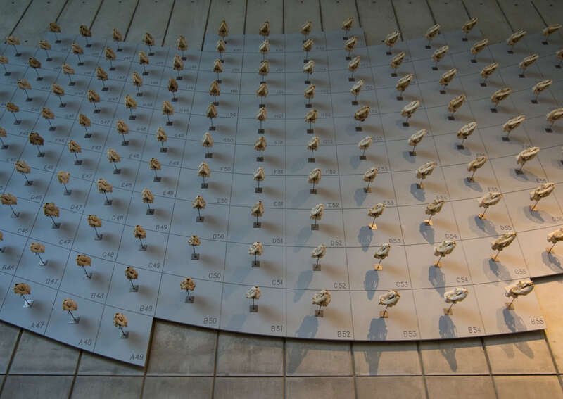 &quot;Sea of skulls&quot; -- mostly sea lion (Otariidae) -- at the California Academy of Sciences.