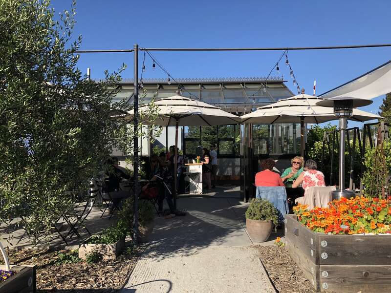 The patio and garden at St Clair Brown Winery &amp;amp; Brewery in Napa, California