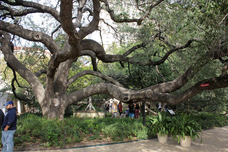 The Alamo, San Antonio, Texas