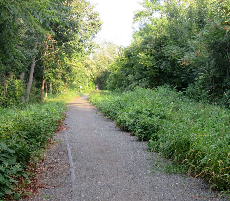 An unimproved section of the Bradford Rail Trail in September 2020. An old rail is visible.
