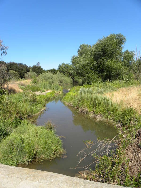 Uvas Creek Preserve, as seen from Miller Avenue near Silva's Crossing in Gilroy, California.