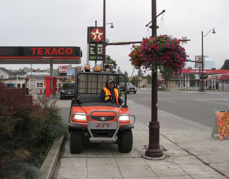 The flower pots get watered every morning in North City - this gardener does a great job!

s100724 009