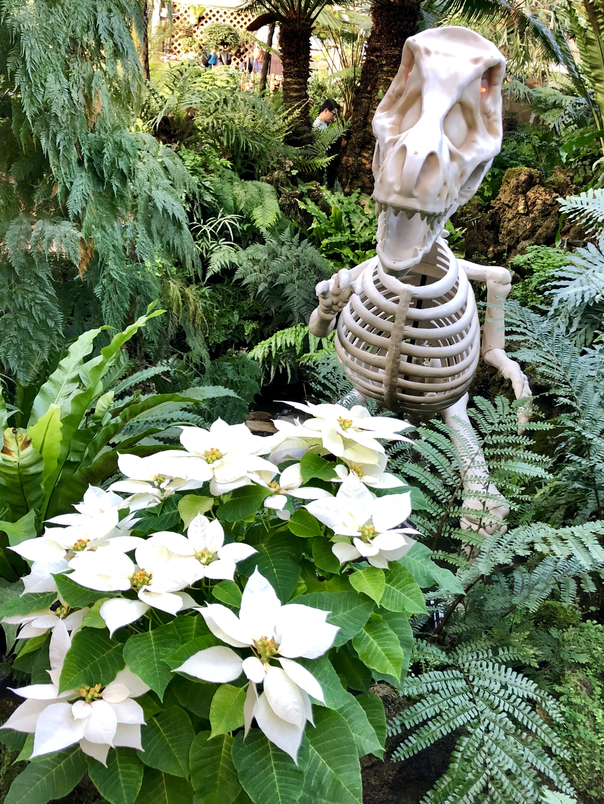 أحمد خيري العمري, إدرينالين