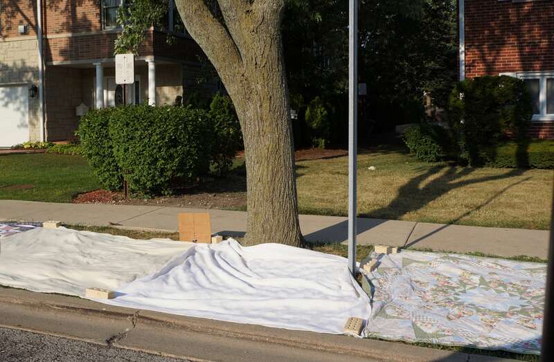 Arlington Heights, IL, USA