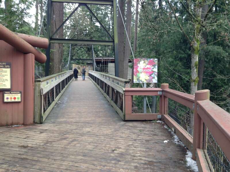 Cascade Canyon Trail at the Oregon Zoo, which overlooks the black bear exhibit