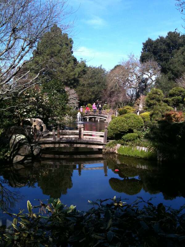 Japanese Tea Garden, with both bridges