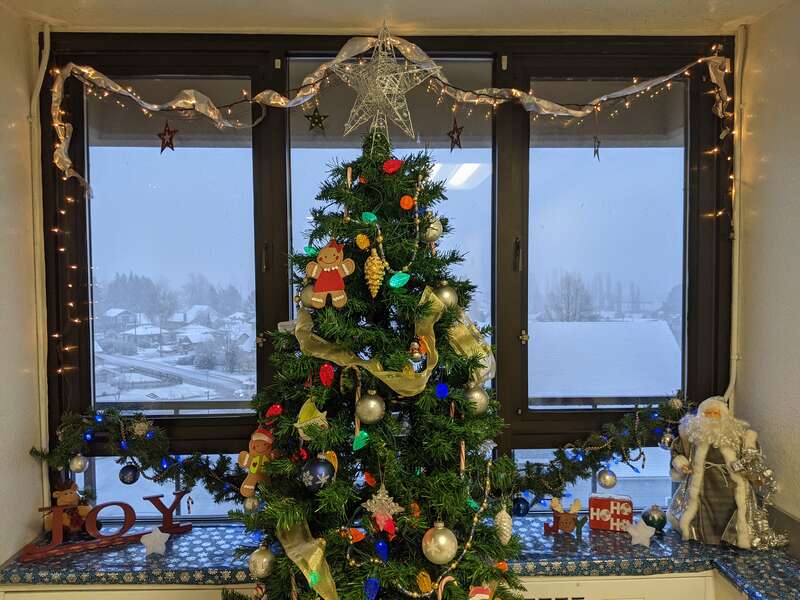 Christmas tree at end of hallway in my building. Light snowfall outside creates a Christmas card look.
