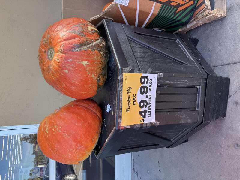 Grocery Outlet, Petaluma, California