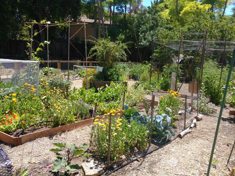 A volunteer garden maintained within Heritage Park in Mountain View, California. See &quot;www.soilandwatergarden.org&quot;.