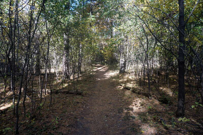 The Holy Hill Segment of the Ice Age Trail in Hubertus, Wisconsin (United States).